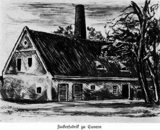 Zuckerfabrik 1865-1940 - Zuckerfabrik Cunern